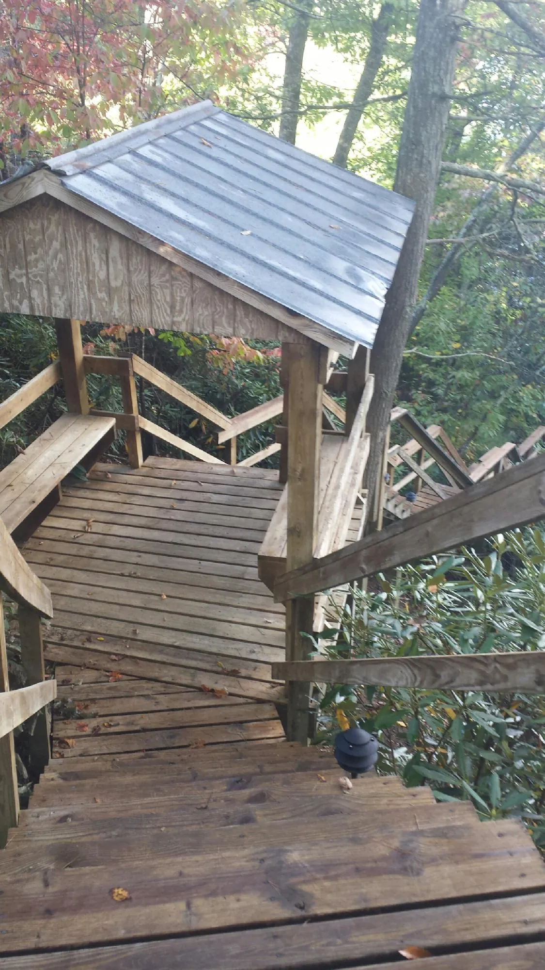 Metal roofed shelter over wooden steps on a wooded walkway — Skylight Repair & Installation work by our crew in Shingle Springs