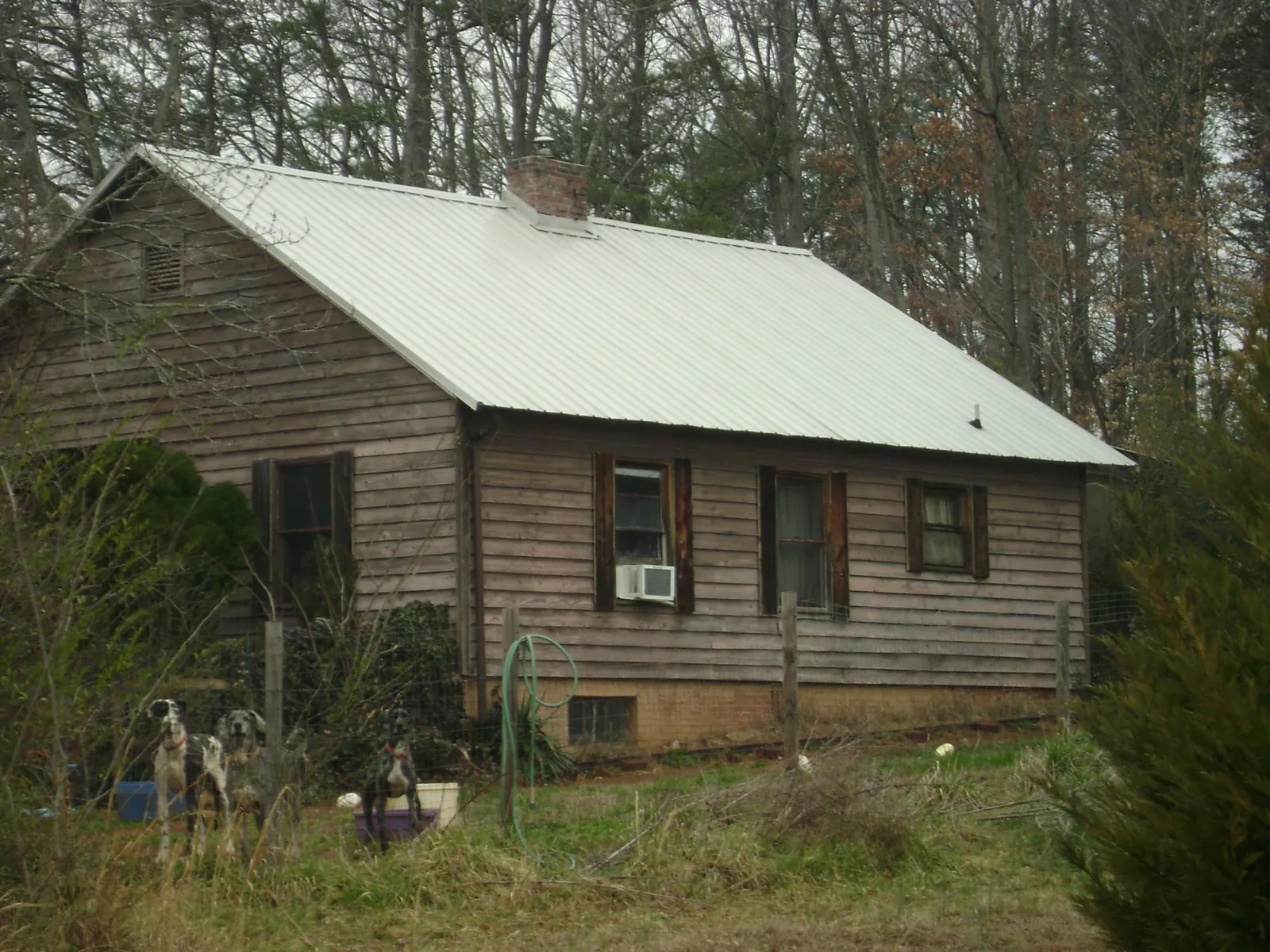 White metal roof on an old wood sided farmhouse, from a Asphalt Shingle Roof Repair job in Shingle Springs